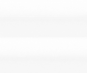 Plissee Alena weiß blickdicht/Sichtschutz/Sonnenschutz Satinstruktur PG0