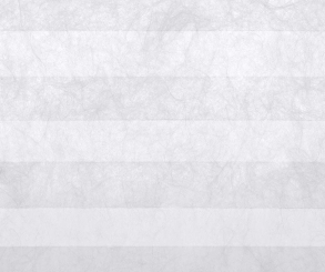 Plissee Loretta weiß, lichtdurchlässig/blickdicht, Sichtschutz, Vlies Optik, PG1