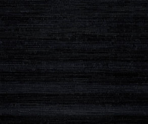 Plissee Isabella schwarz, lichtdurchlässig blickdicht, Sichtschutz, Nature Look PG2