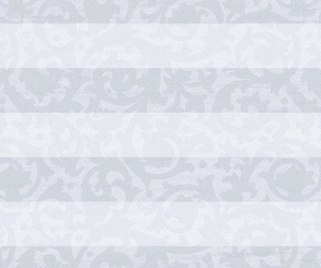 Plissee Donata weiß blickdicht/Sichtschutz/Dekoration Ornamentmuster PG3