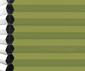 Wabenplissee Vanessa grün Verdunkelung Wärme-/Hitzeschutz isolierend PG4