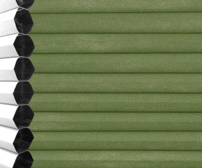 Wabenplissee Vanessa grün Verdunkelung Wärme-/Hitzeschutz isolierend PG3