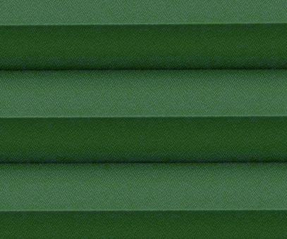 Plissee Isabella grün, Verdunkelung zum Sparpreis Rückseite weiß, Kreppstruktur, PG2