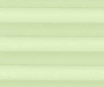 Plissee Rollo Isabella grün, lichtdurchlässig/blickdicht, Sichtschutz, PG2
