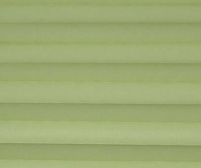 Plissee SALE% grün, lichtdurchlässig/blickdicht, Sichtschutz, Sonnenschutz, Satinlook, PGA0