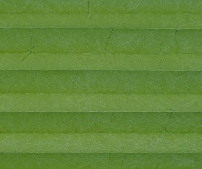 Plissee nach Maß SALE% so günstig in grün PGA0 | Fenster Plissee 206190 grün