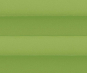 Plissee Alena grün, lichtdurchlässig/blickdicht, Sichtschutz/Sonnenschutz, Satinlook, PG0