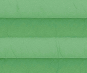 Plissee Loretta grün, lichtdurchlässig/blickdicht, Sichtschutz, Sonnenschutz, Crush Optik, PG1