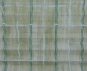 Plissee Loretta grün, lichtdurchlässig/blickdicht, Sichtschutz, Dekorstoff, PG1